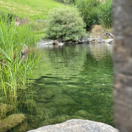 Alpengarten * Mallnitz