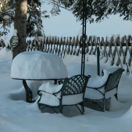 Alpengarten アパート *